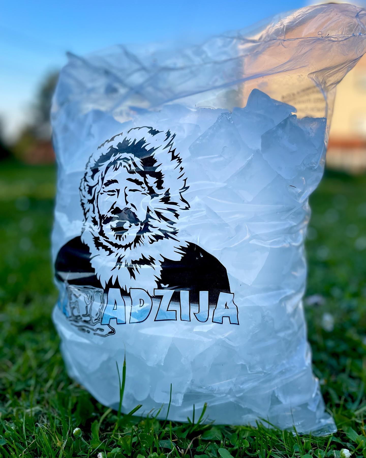 LEDADŽIJA prodaja leda